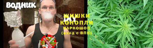 прущие грибы Артём