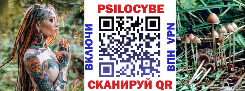 закладки  Калуга  Псилоцибиновые грибы Psilocybe 