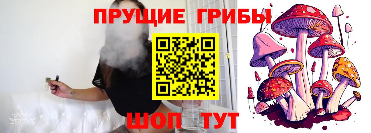 Калуга  где продают наркотики  Вход с VPN  Псилоцибиновые грибы прущие грибы  Псилоцибиновые грибы мицелий 